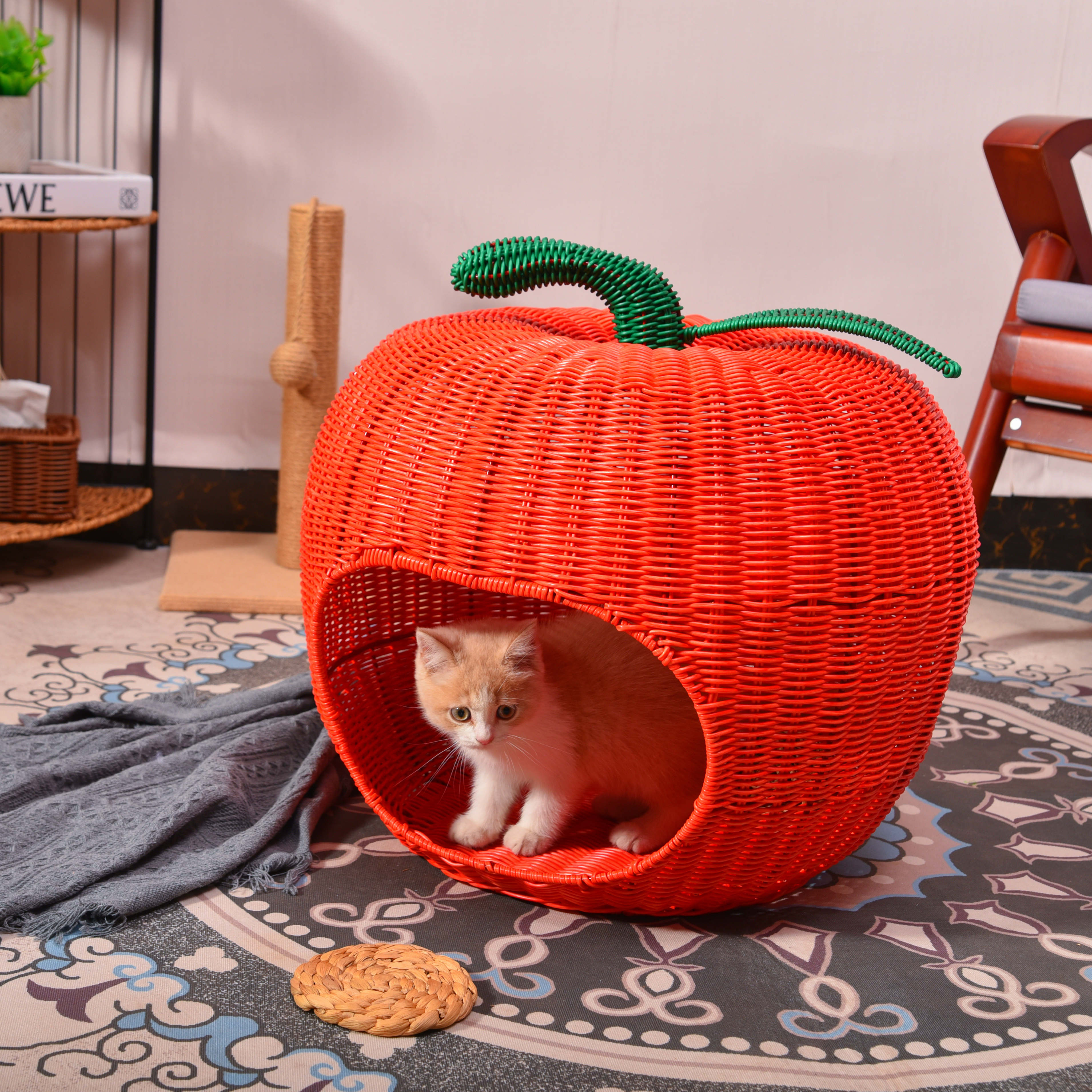 Plastic Rattan Woven Apple Shape Pet Bed