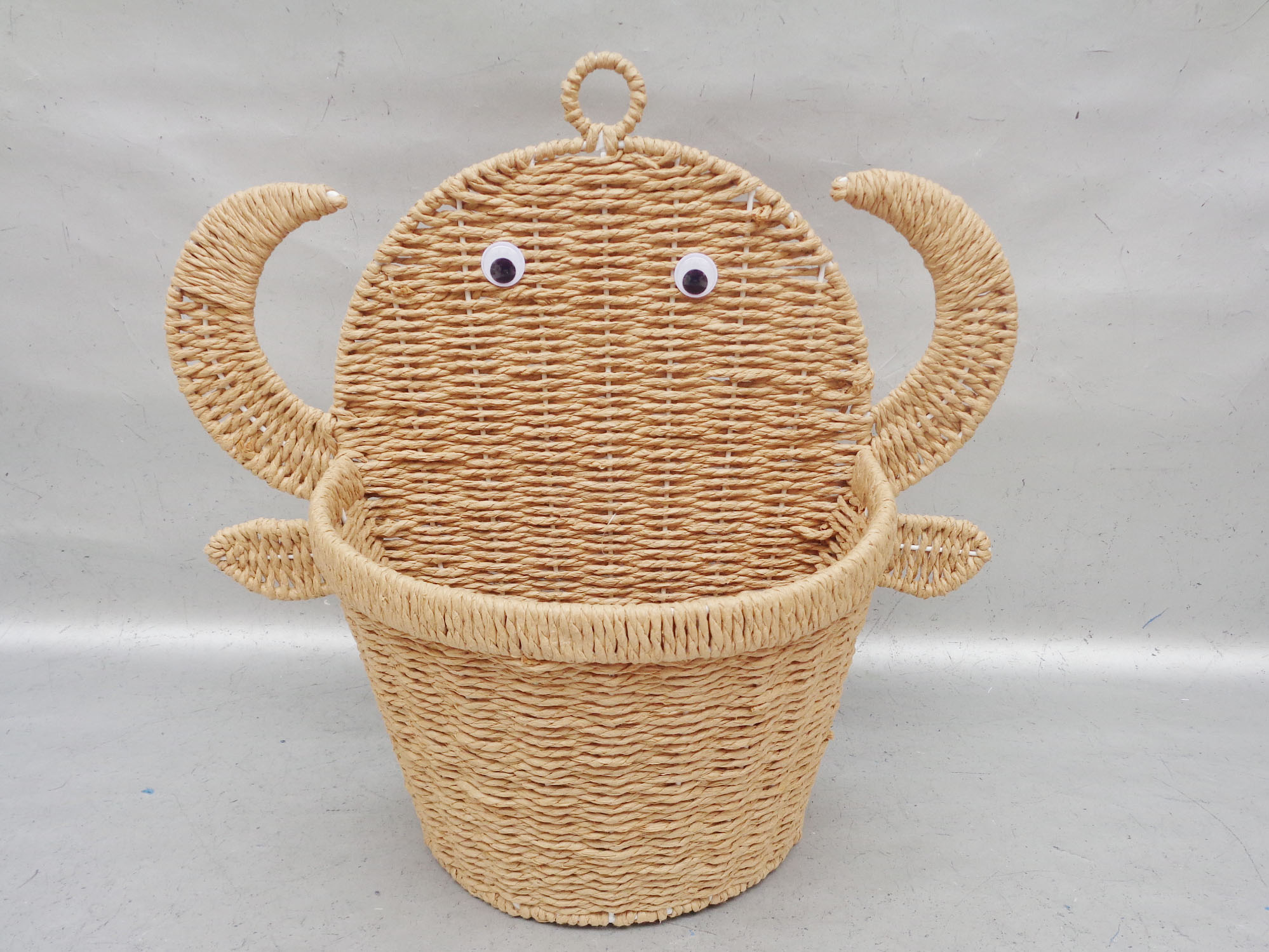 Iron Frame Paper Rope Weave Hanging Basket