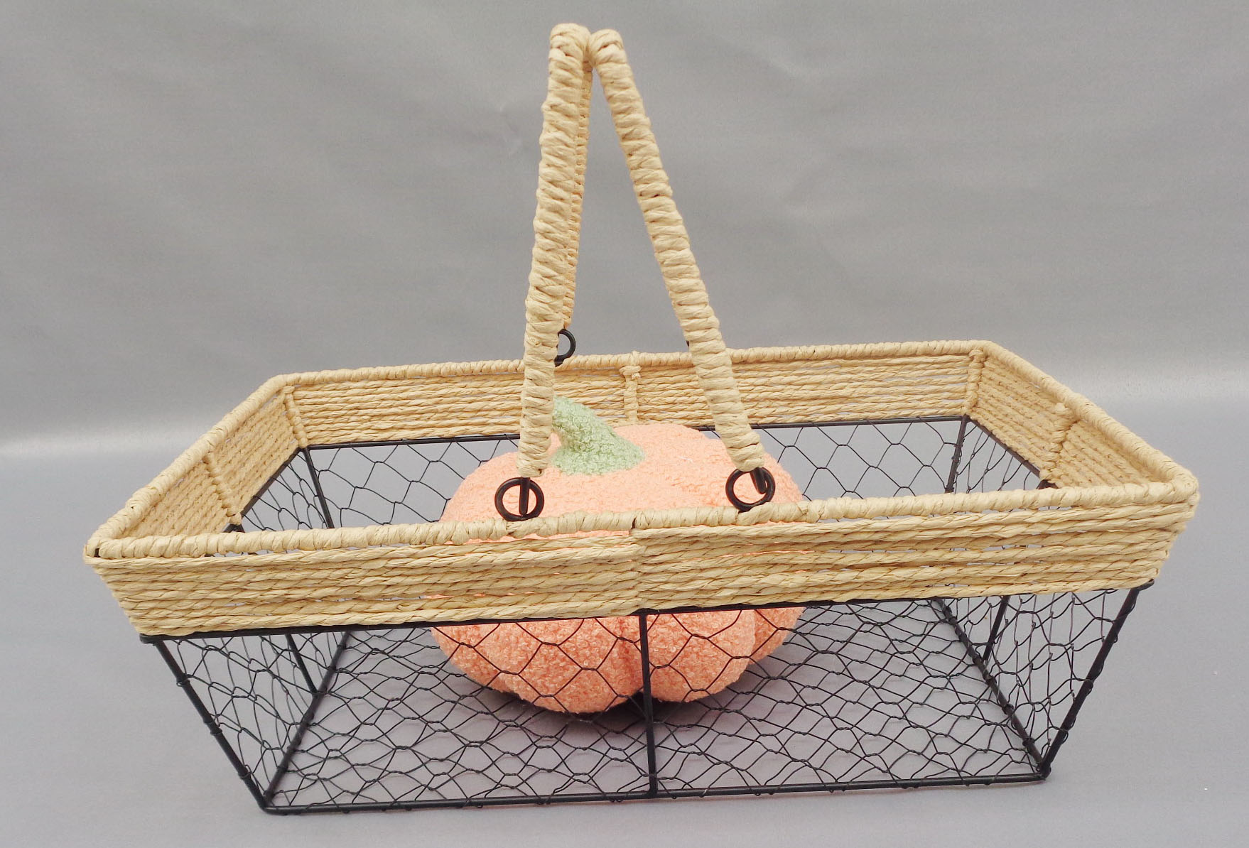 Iron Wire Basket with Paper Rope Handles
