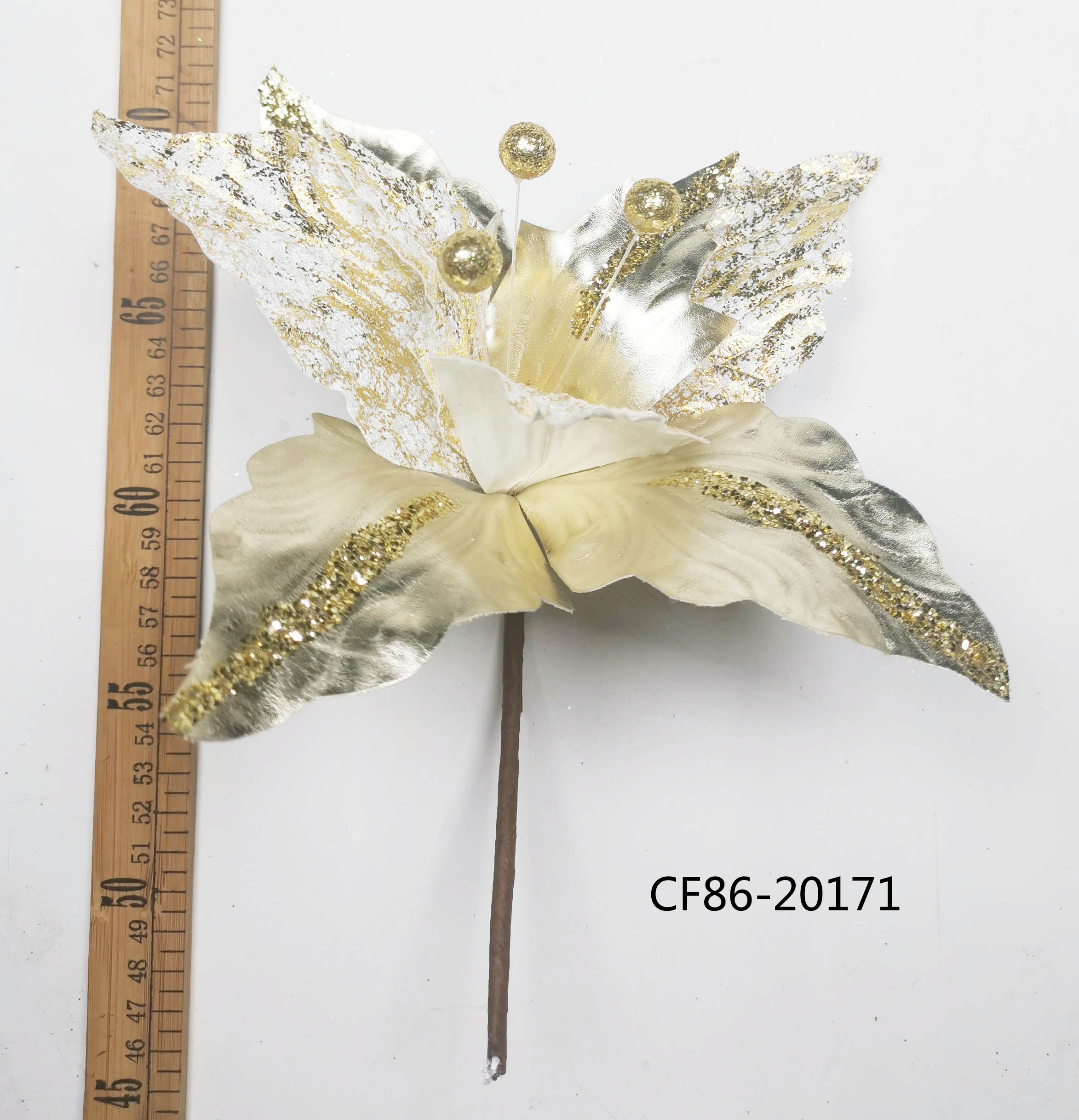 CF86-13