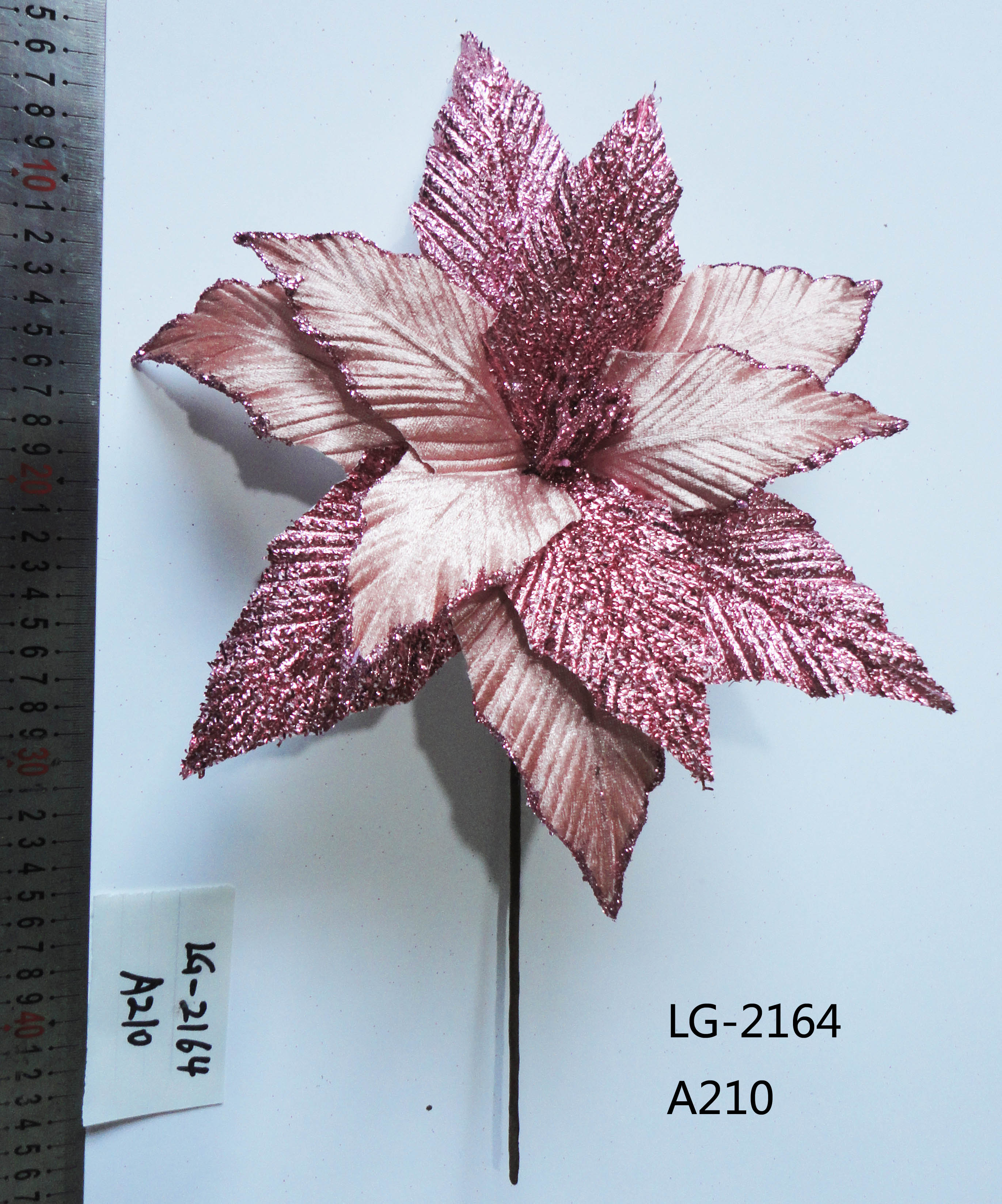 LG-21
