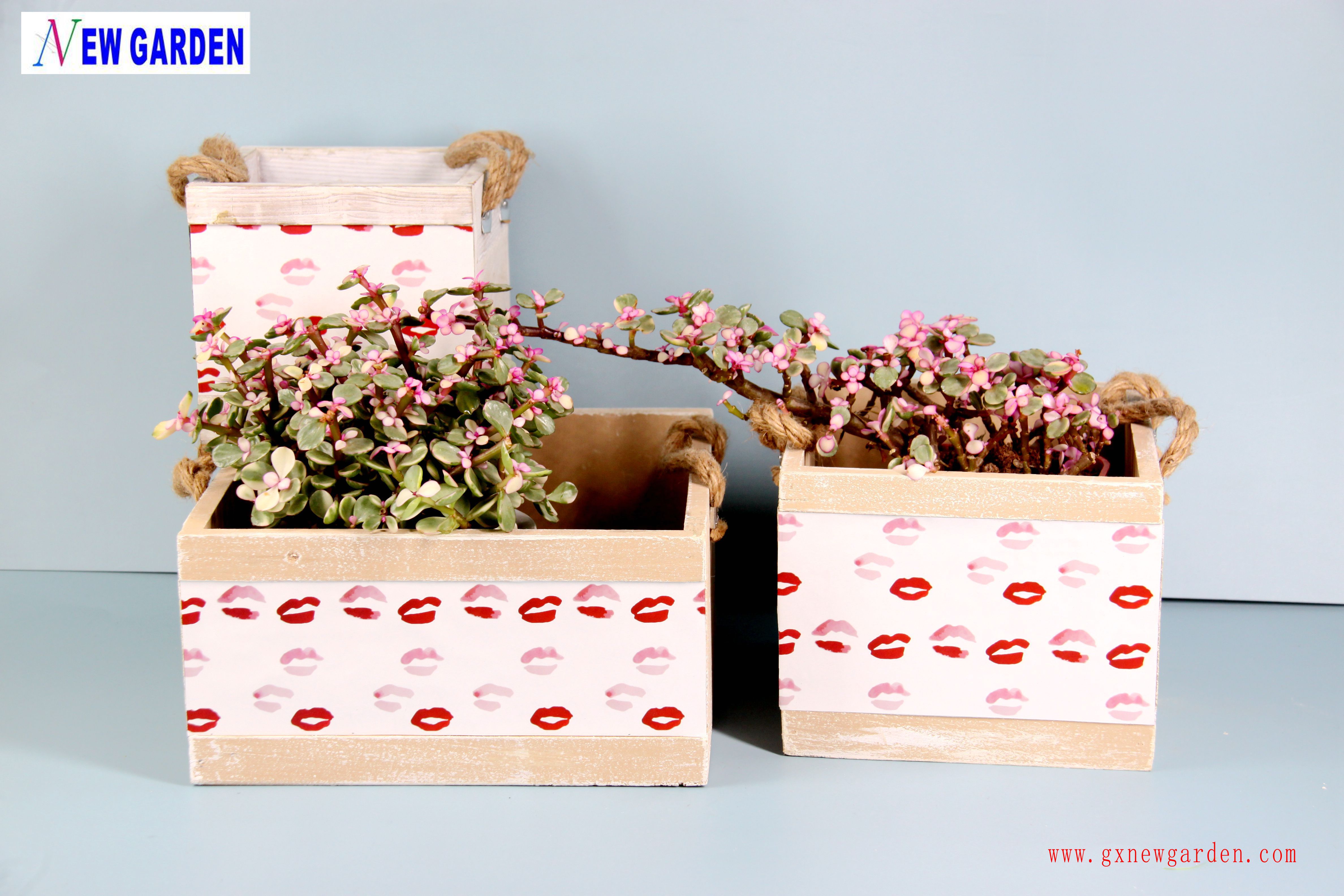 Wooden Flower Planter with Red Lip Design