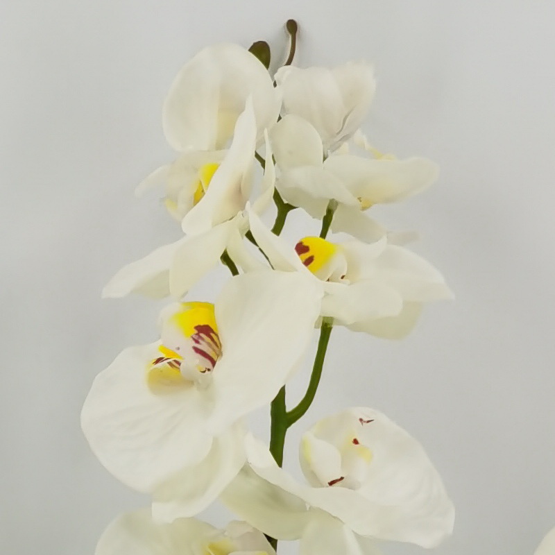 72cm Artificial Phalaenopsis Orchid Gold Ceramic Pot