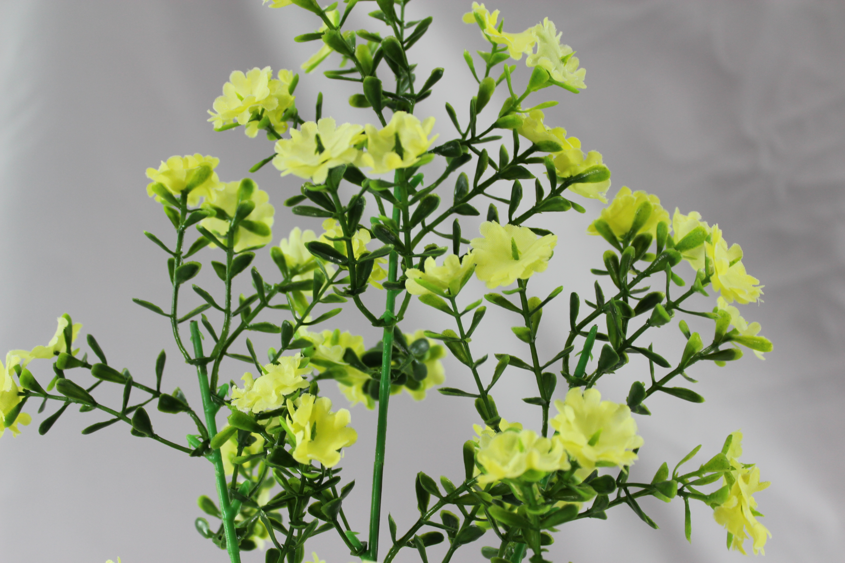 Canton Fair product