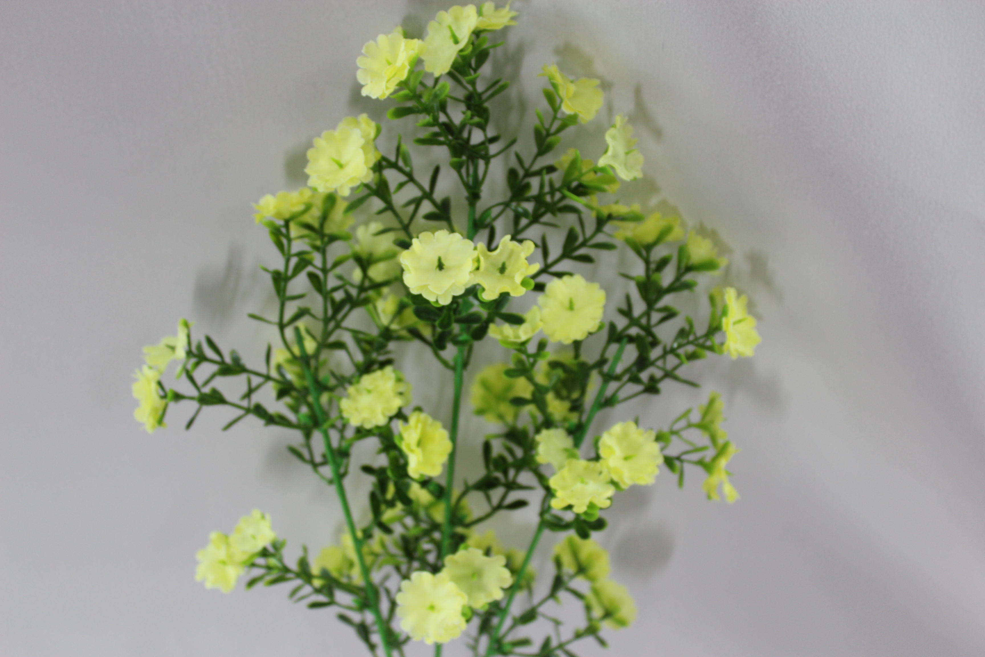 Canton Fair product
