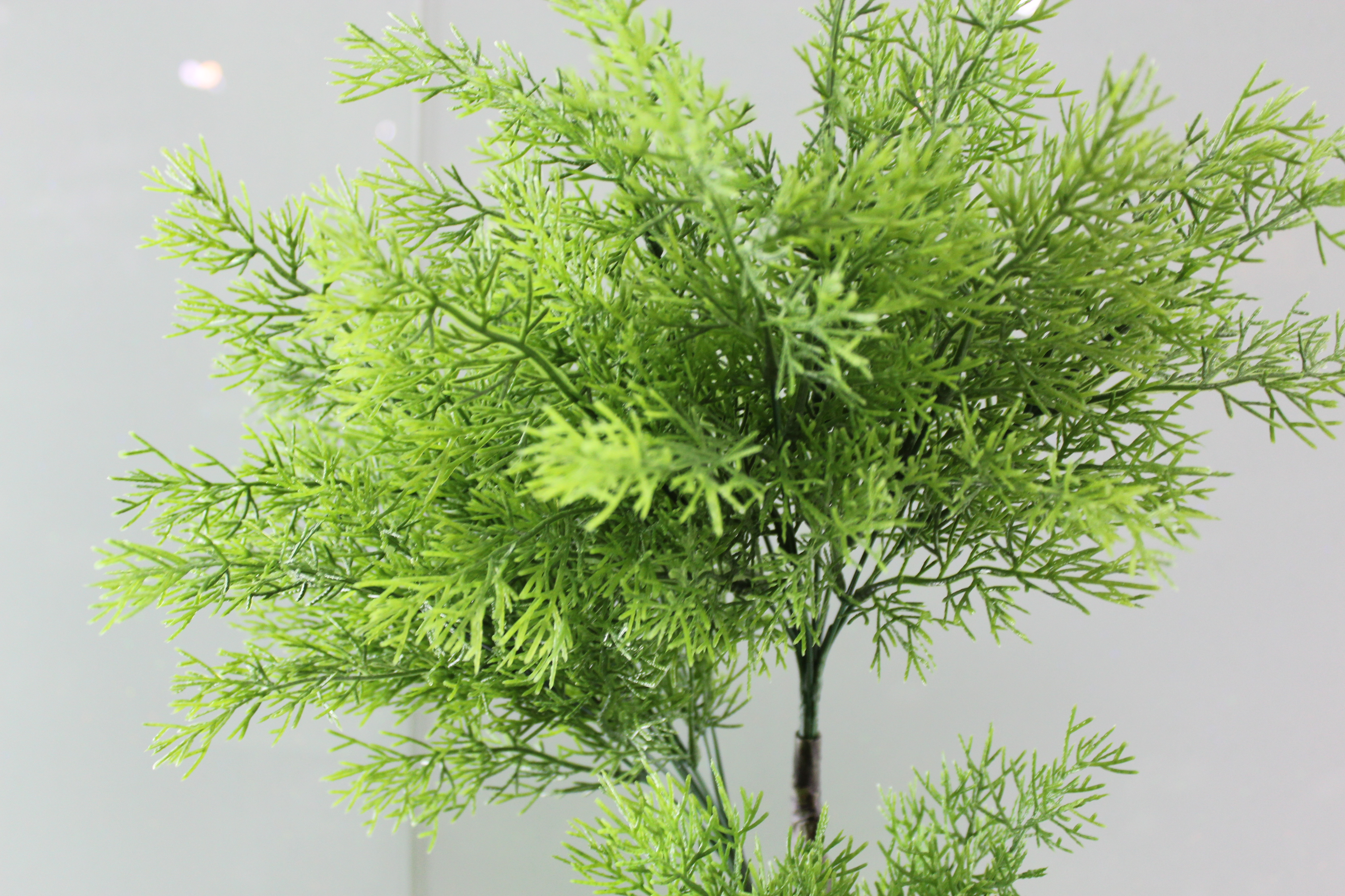 Canton Fair product