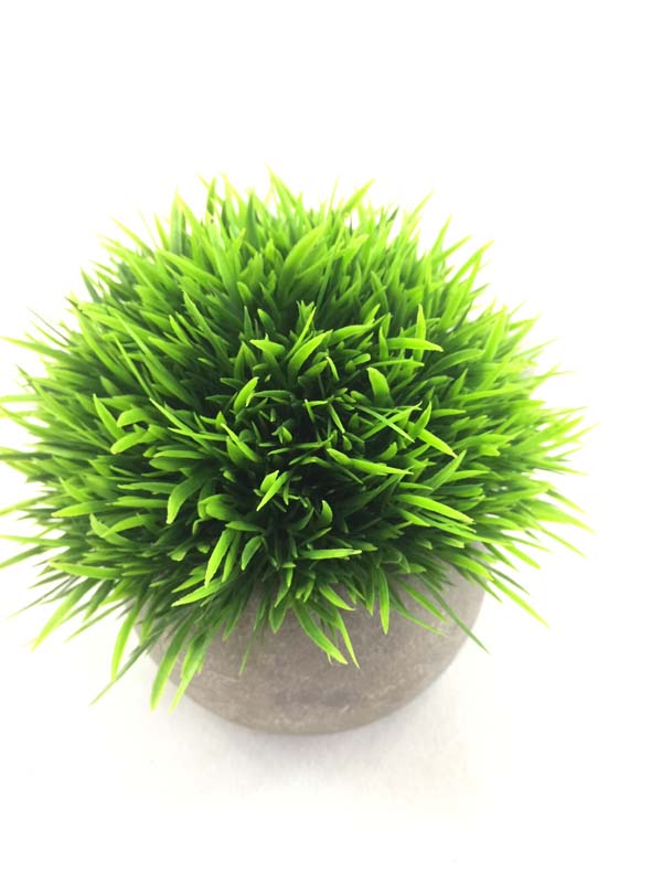 Canton Fair product