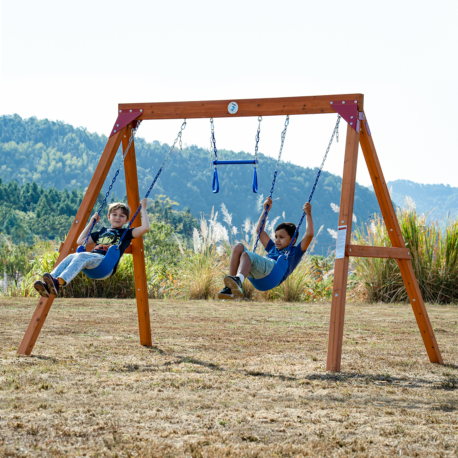 3 Station DIY Backyard Swing Set