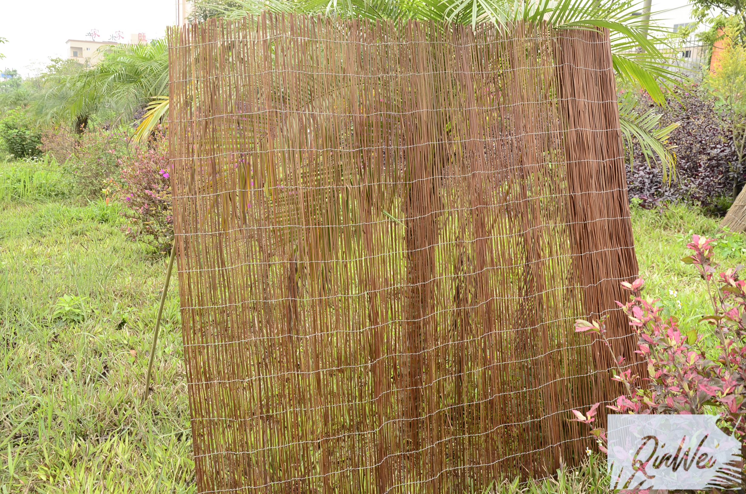 Black Fern Fence