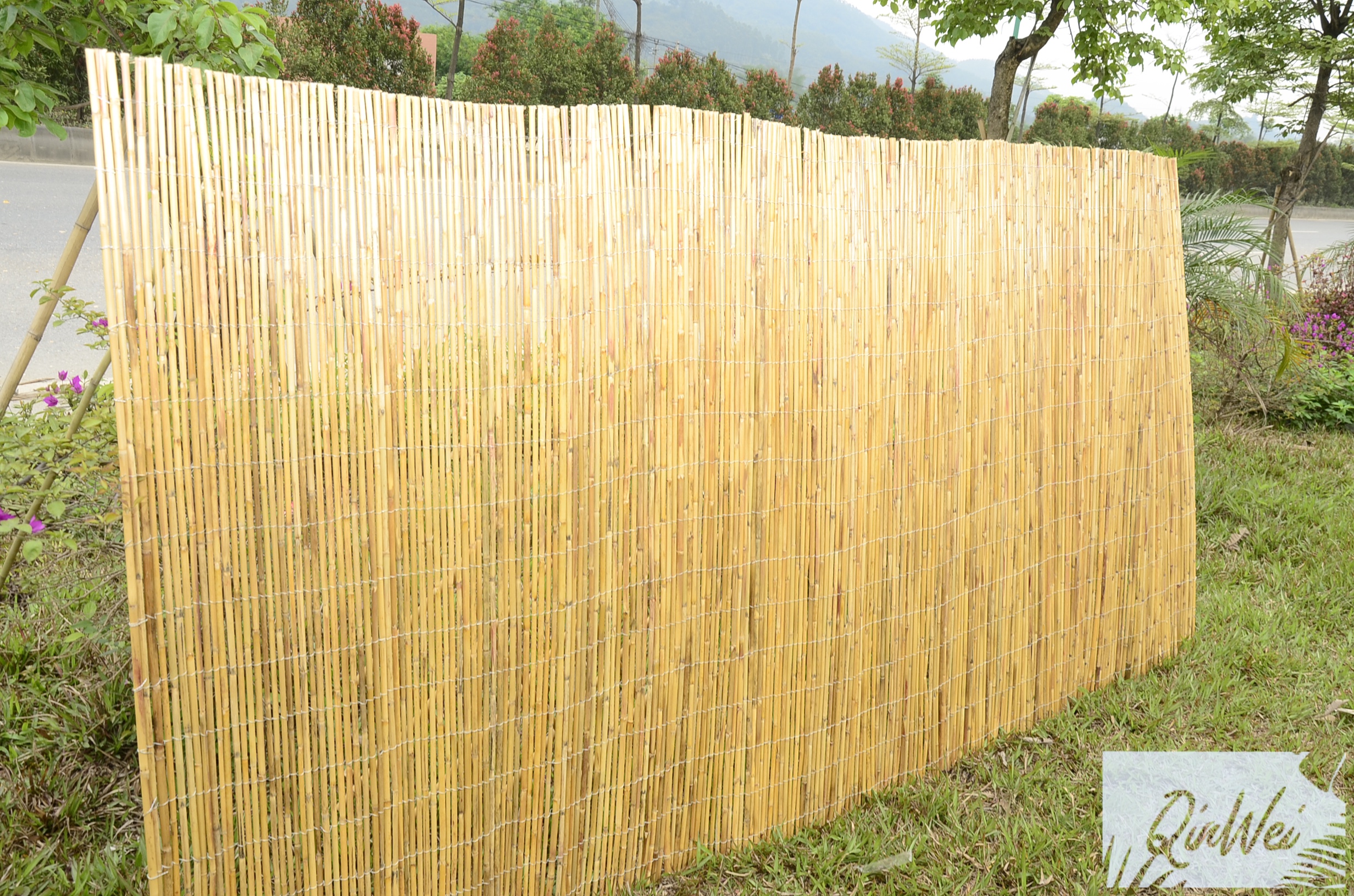 White Fern Fence Hand-Woven Natural Miscanthus