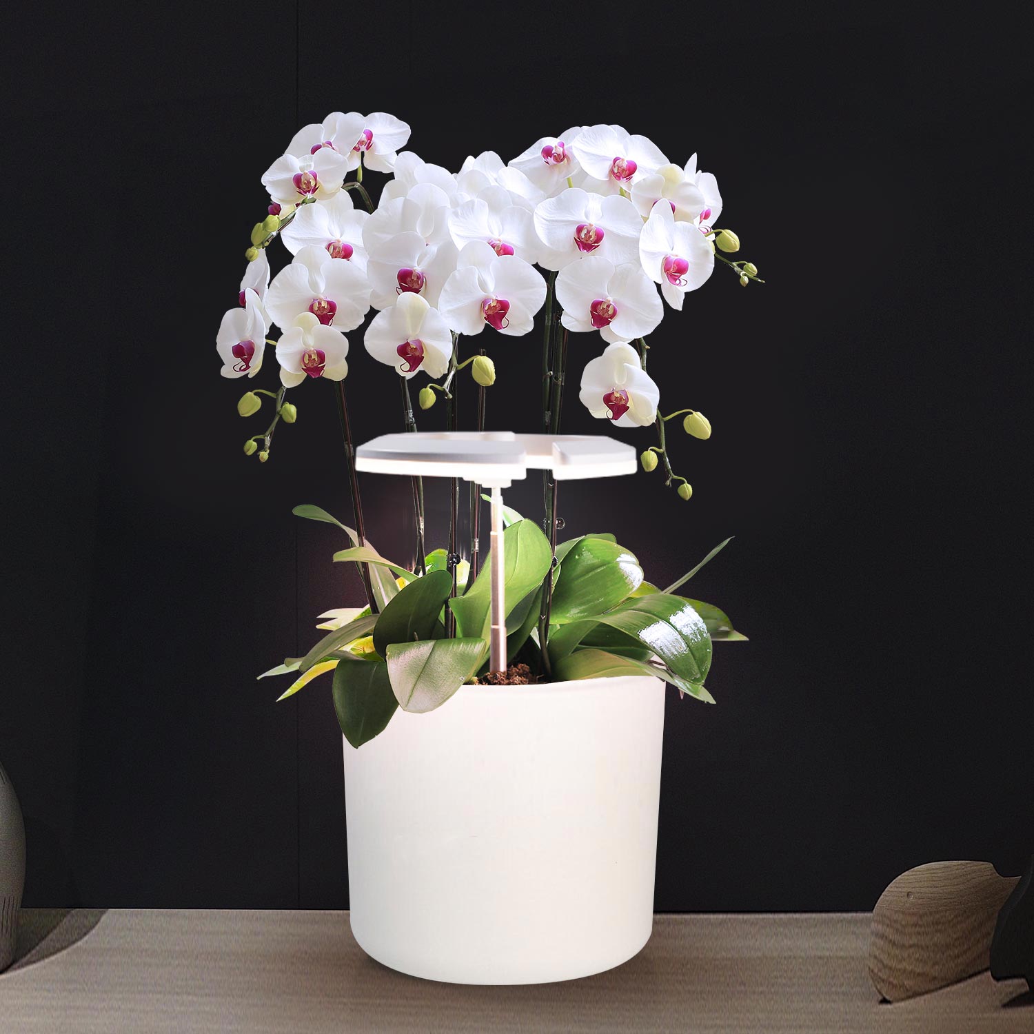 Canton Fair product