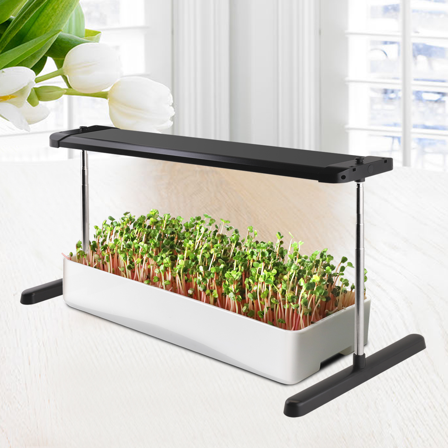 Canton Fair product