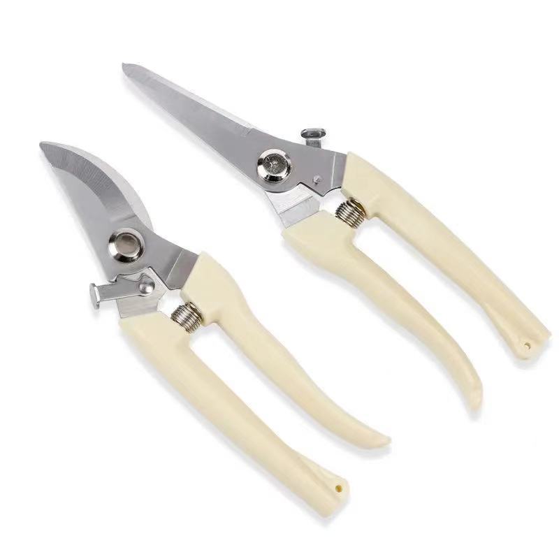 Stainless Steel Pruning Shears