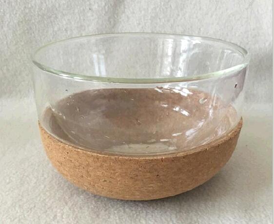 Double Wall Borosilicate Glass Bowl with Cork Base