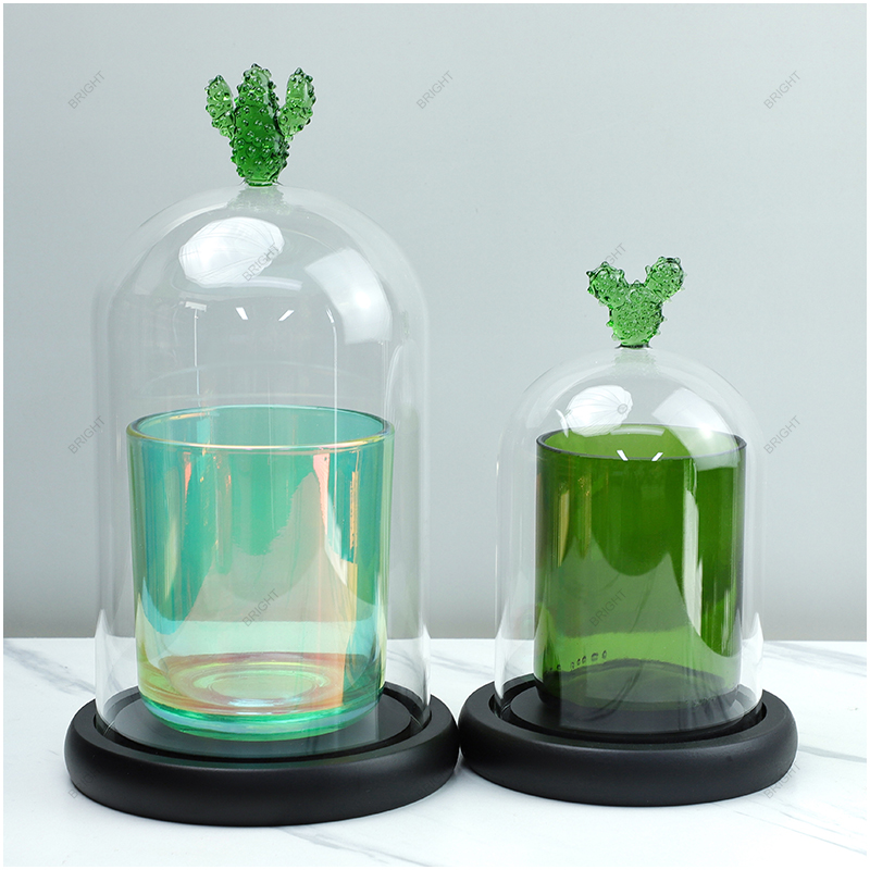 Glass Cloche Bell Jar with Dome Lid