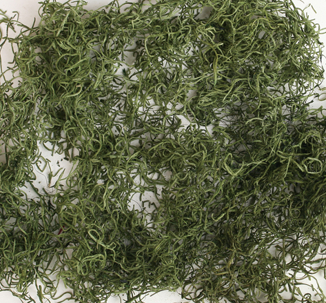 Spanish Moss Preserved Dried Flowers