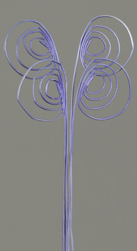 Cane Coil Dried Flowers