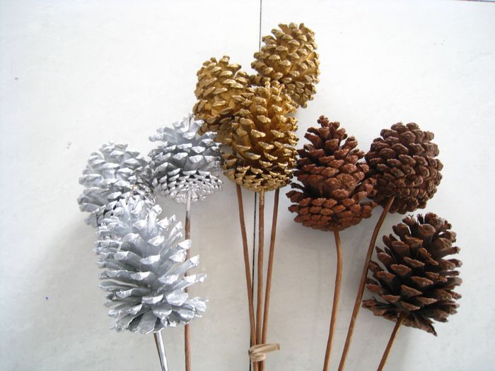 Loblolly Dried Flowers
