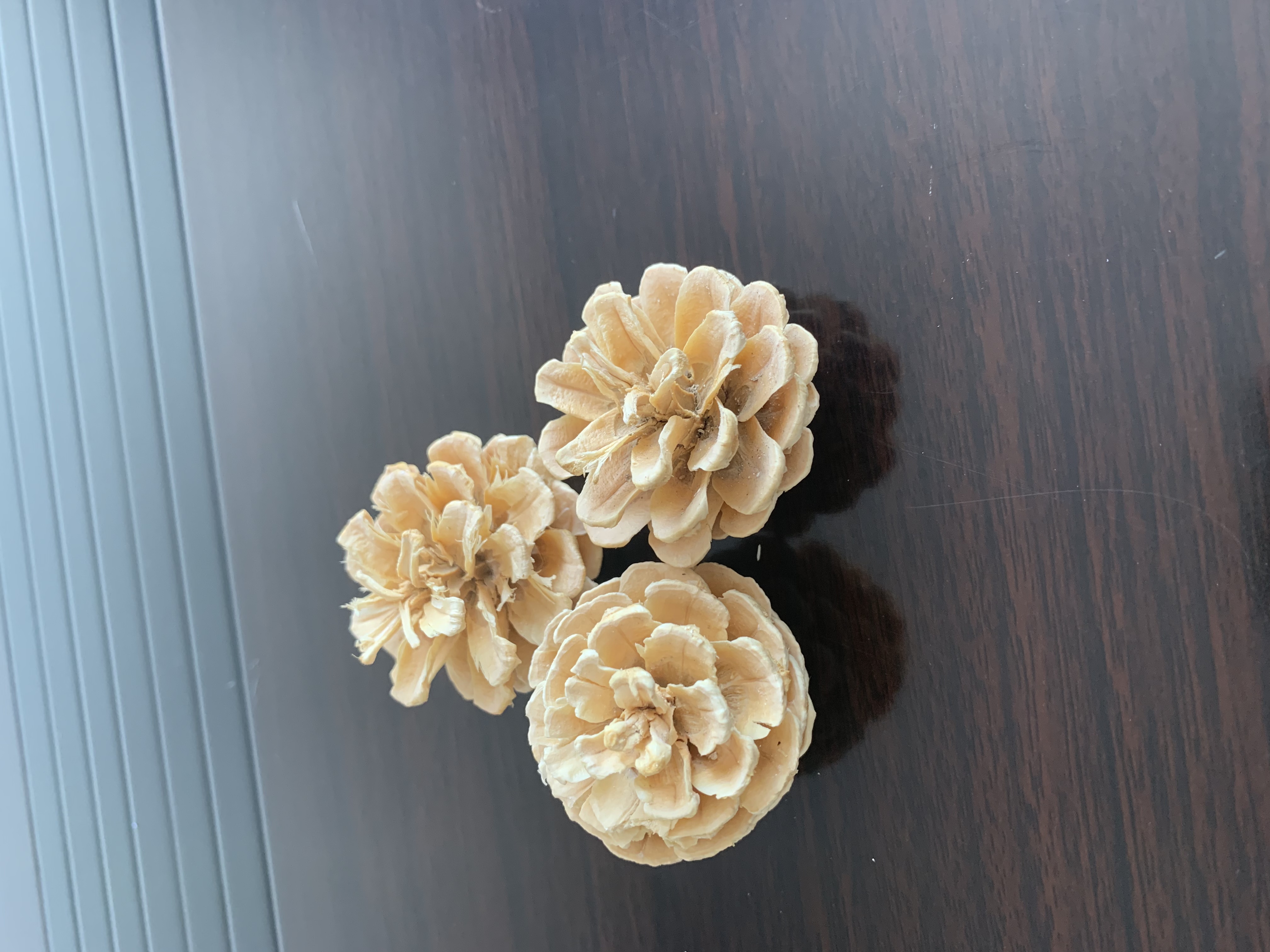 Canton Fair product