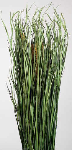 Malian Grass Preserved Dried Flowers