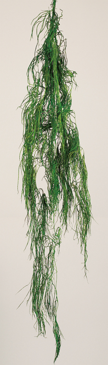 Preserved Lycopodium Vine Dried Flowers