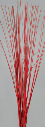Straight Willow Dried Flowers