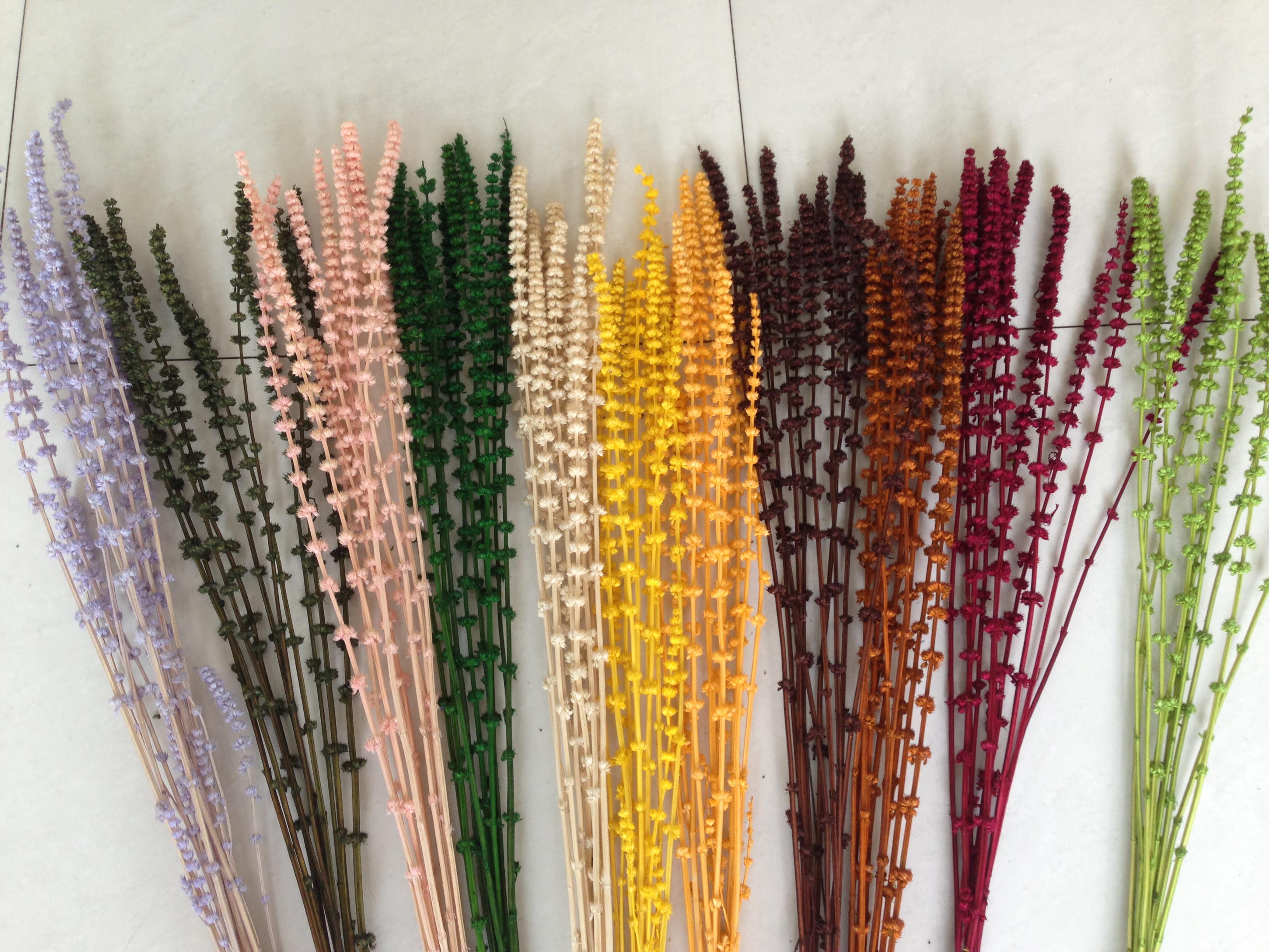 Canton Fair product