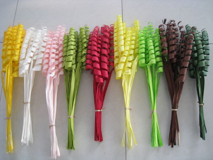 Curly Palm Leaves Dried Flowers