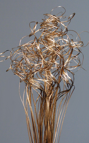 Curly Ting Ting Dried Flower