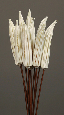 Dried Okra Pods