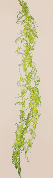 Preserved Fern Vine Dried Flowers