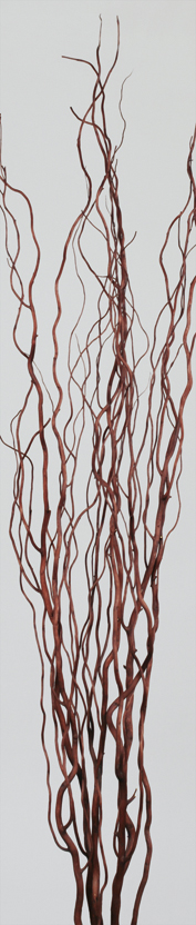 Curly Willow Dried Flowers
