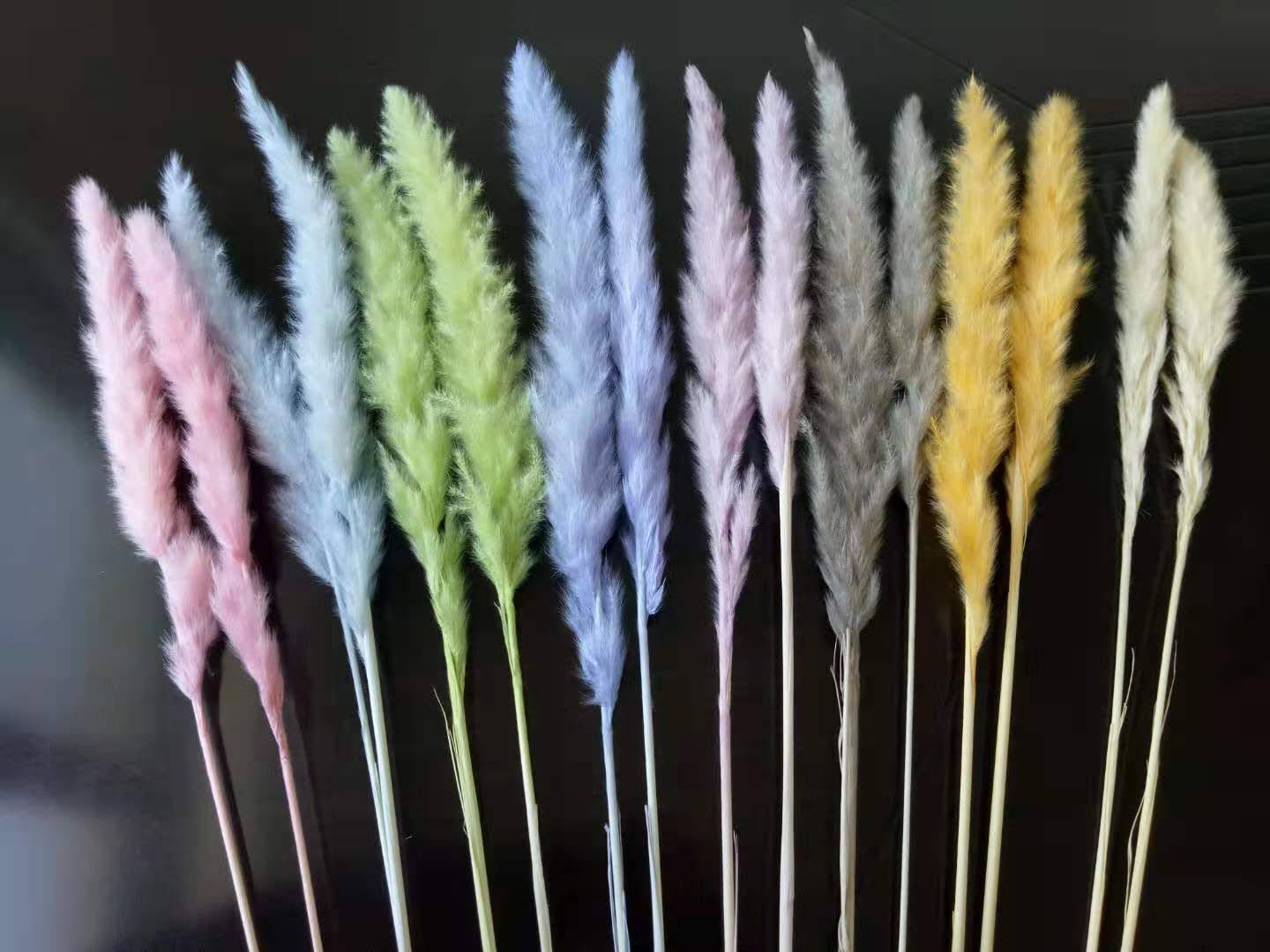 Canton Fair product