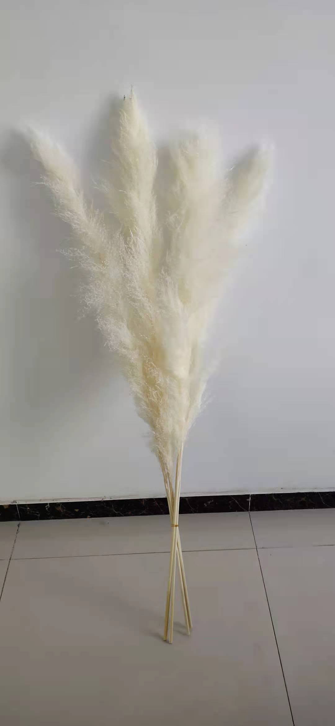 Long Reed Dried Flower