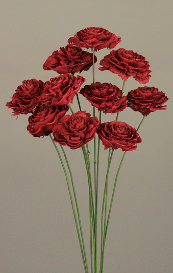 Cedar Rose Dried Flowers