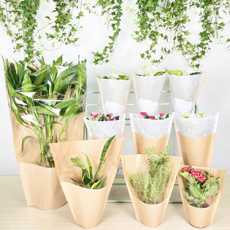 Canton Fair product