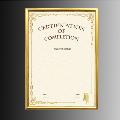 A4 Document Frame