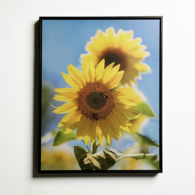 PS Floating Frame Wall Art Painting