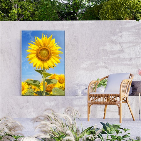 Canton Fair product