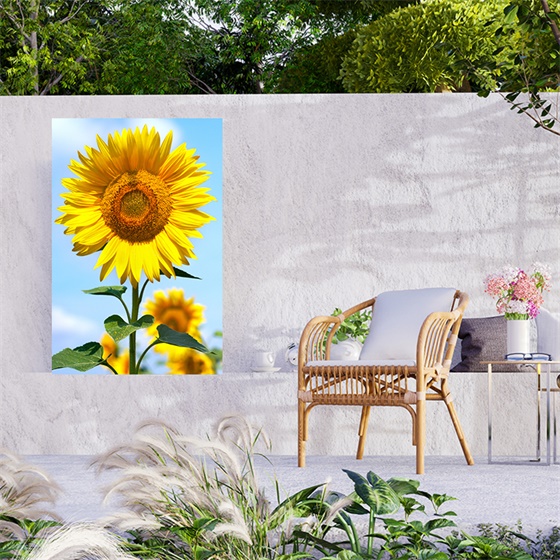 Canton Fair product