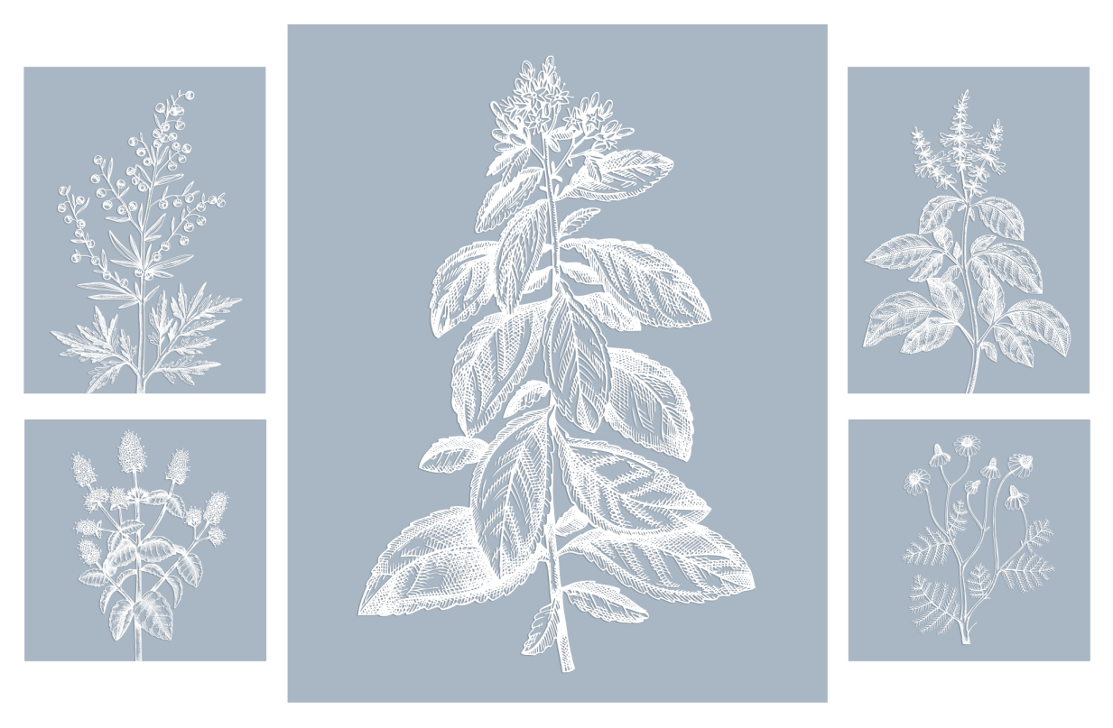Five in One Canvas Art Set