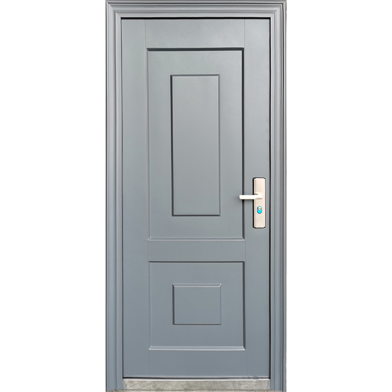 Steel Security Door XLS-025