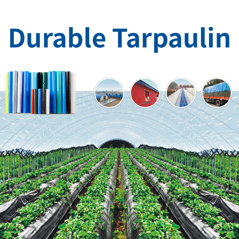 Tarpaulin