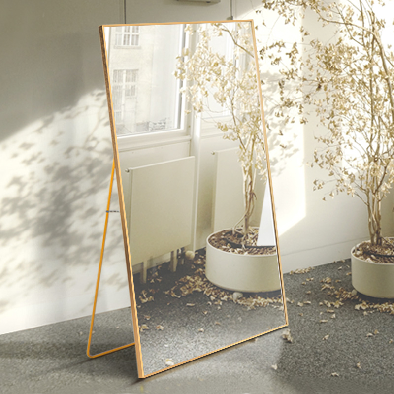 Metal Frame Full Length Floor Mirror