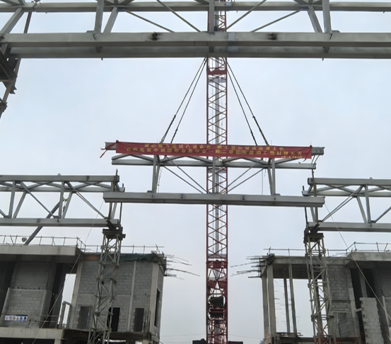 Steel Truss Industrial Building Large-Span Structure