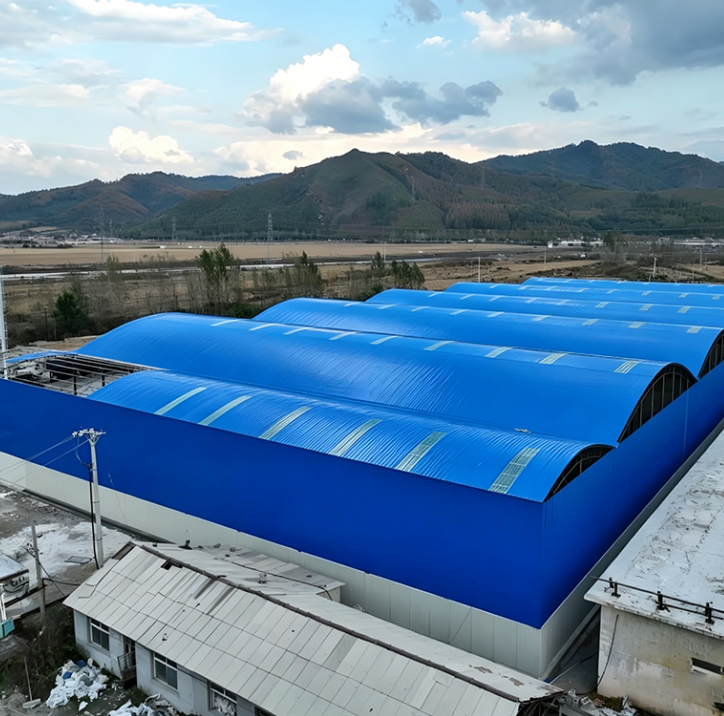 Customized Steel Space Frame Roofing