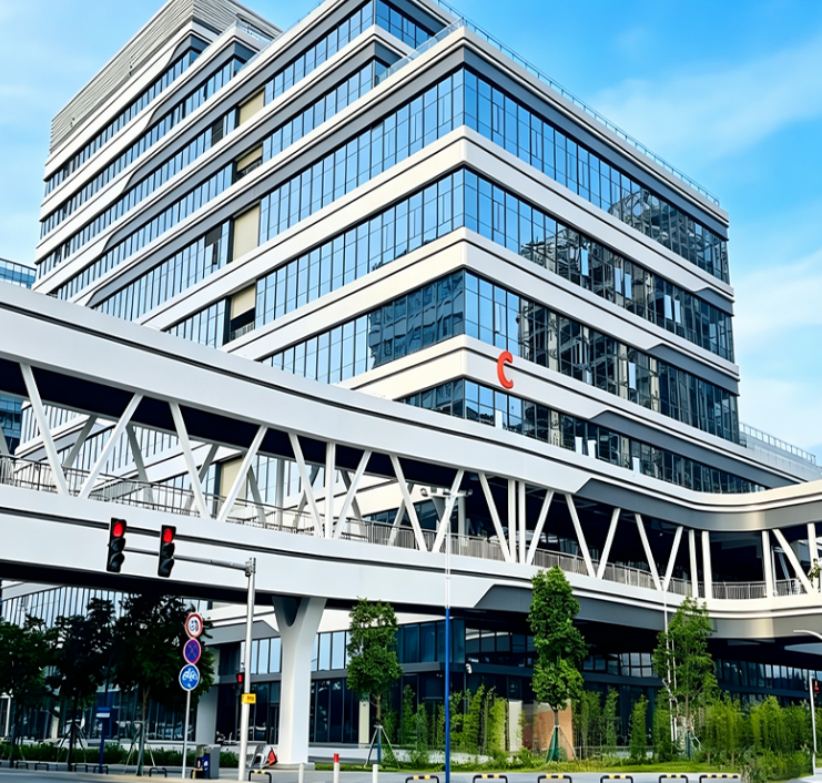 Green Prefabricated Steel-Structure Municipal Footbridges