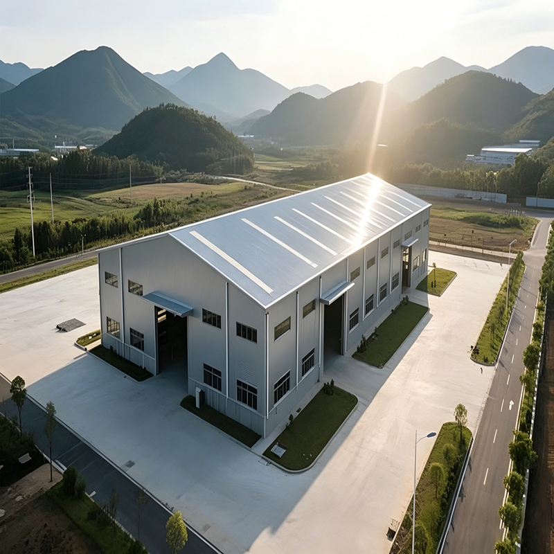 Customized Heavy Steel Building Structures