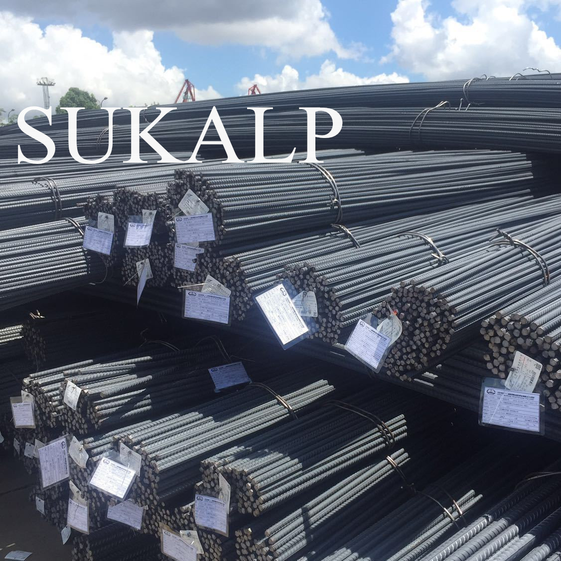 EPS Sandwich Panel