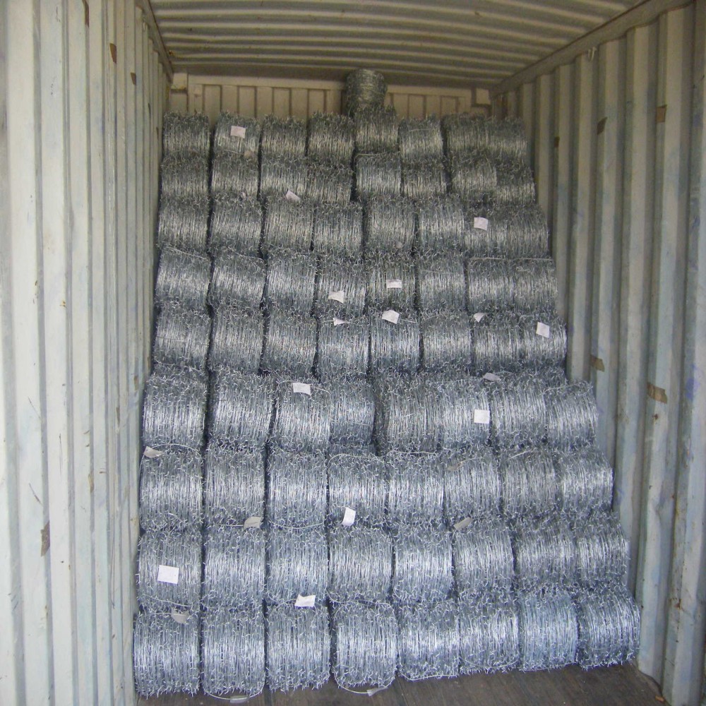 Hot-Dipped Galvanized High Tensile Steel Barbed Wire